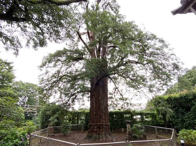 奚疑塾跡地 | 稲城市観光協会